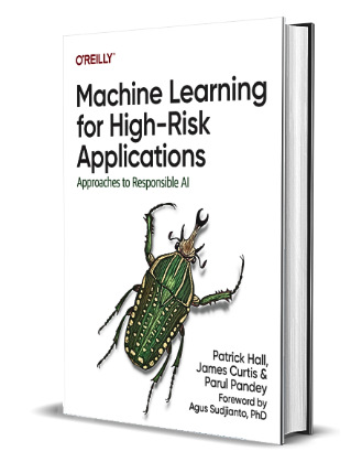 Machine Learning for High-Risk Applications